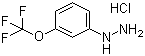 3-三氟甲氧基苯肼盐酸盐分子结构 (CAS 133115-55-6)