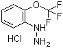 2-(三氟甲氧基)苯肼盐酸盐分子结构 (CAS 133115-76-1)