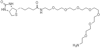 (3aS,4S,6aR)-N-(23-氨基-3,6,9,12,15,18,21-七氧杂二十三烷-1-基)六氢-2-氧代-1H-噻吩并[3,4-d]咪唑-4-戊酰胺分子结构 (CAS 1334172-76-7)
