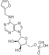 structure of CAS# 13484-67-8, N-(2-Furanylmethyl)-5'-adenylic acid