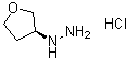 [(3S)-四氢-3-呋喃基]肼盐酸盐分子结构 (CAS 1364632-45-0)