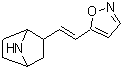 2-[2-(5-异恶唑基)乙烯基]-7-氮杂双环[2.2.1]庚烷分子结构 (CAS 1379420-49-1)