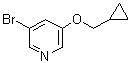 3-溴-5-(环丙基甲氧基)吡啶分子结构 (CAS 1383133-14-9)