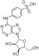 structure of CAS# 143668-15-9, 4-[(9-beta-D-Ribofuranosyl-9H-purin-6-yl)amino]benzenesulfonic acid