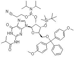 structure of CAS# 1445905-51-0, 5'-O-[双(4-甲氧基苯基)苯基甲基]-3'-O-[(1,1-二甲基乙基)二甲基硅烷基]-N-(2-甲基-1-氧代丙基)-鸟苷 2'-[2-氰基乙基 N,N-双(1-甲基乙基)氨基亚磷酸酯]