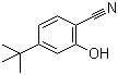 4-叔丁基-2-羟基苯甲腈分子结构 (CAS 145818-28-6)
