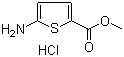 5-氨基-2-噻吩甲酸甲酯盐酸盐分子结构 (CAS 14597-57-0)