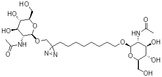 CAS # 146294-05-5, 8-[3-[[[2-(Acetylamino)-2-deoxy-beta-D-glucopyranosyl]oxy]methyl]-3H-diazirin-3-yl]octyl 2-(acetylamino)-2-deoxy-beta-D-glucopyranoside