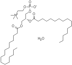 二棕榈酰基 L-alpha-磷脂酰胆碱一水合物分子结构 (CAS 148383-51-1)