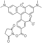structure of CAS# 150810-68-7, 5-羧基四甲基罗丹明琥珀酰亚胺酯