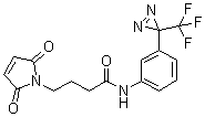 2,5-二氢-2,5-二氧代-N-[3-[3-(三氟甲基)-3H-双吖丙啶-3-基]苯基]-1H-吡咯-1-丁酰胺分子结构 (CAS 151077-62-2)