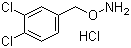 CAS # 15256-10-7, O-(3,4-Dichlorobenzyl)hydroxylamine hydrochloride
