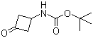 3-氧代环丁基氨基甲酸叔丁酯分子结构 (CAS 154748-49-9)