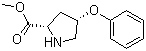 (2S,4S)-4-苯氧基-2-吡咯烷甲酸甲酯分子结构 (CAS 157187-62-7)