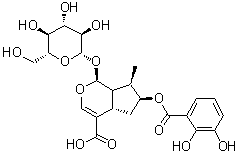 CAS 登录号：157722-21-9, (1S,4aS,6S,7R,7aS)-6-[(2,3-二羟基苯甲酰)氧基]-1-(beta-D-吡喃葡萄糖基氧基)-1,4a,5,6,7,7a-六氢-7-甲基环戊二烯并[c]吡喃-4-羧酸
