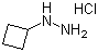 1-环丁基肼盐酸盐分子结构 (CAS 158001-21-9)