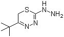 5-叔丁基-2-肼基-6H-1,3,4-噻二嗪分子结构 (CAS 158035-17-7)