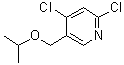 2,4-二氯-5-[(1-甲基乙氧基)甲基]吡啶分子结构 (CAS 1602518-20-6)
