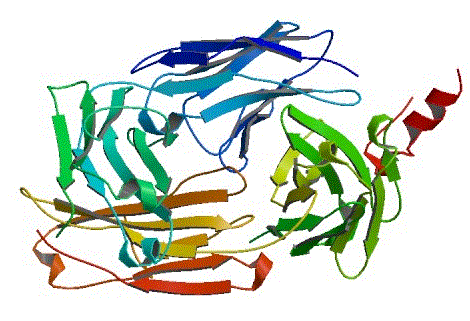 CAS 登录号：174722-31-7, 利妥昔单抗