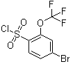 structure of CAS# 175278-14-5, 4-Bromo-2-trifluoromethoxyphenylsulfonyl chloride