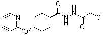 反式-4-(2-吡啶基氧基)环己烷羧酸 2-(2-氯乙酰基)酰肼分子结构 (CAS 1784753-93-0)