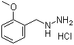 [(2-甲氧基苯基)甲基]肼盐酸盐分子结构 (CAS 179110-14-6)