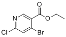 structure of CAS# 1807221-07-3, 乙基4-溴-6-氯烟酸酯