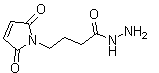 4-马来酰亚胺丁酰肼分子结构 (CAS 181148-01-6)