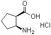 顺式-2-氨基-1-环戊基羧酸盐酸盐分子结构 (CAS 18414-30-7)