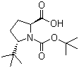 CAS 登录号：185142-15-8, (2S,5R)-N-Boc-5-叔丁基吡咯烷-2-甲酸, (2S,5R)-N-叔丁氧羰基-5-叔丁基吡咯烷-2-甲酸
