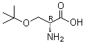 structure of CAS# 18783-53-4, O-(1,1-Dimethylethyl)-D-serine