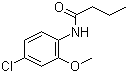 N-(4-氯-2-甲氧基苯基)丁酰胺分子结构 (CAS 196866-07-6)