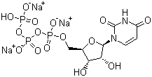 尿苷-5'-三磷酸三钠盐分子结构 (CAS 19817-92-6)