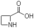 CAS # 20063-89-2, DL-Azetidine-2-carboxylic acid, Azetidine-2-carboxylic acid