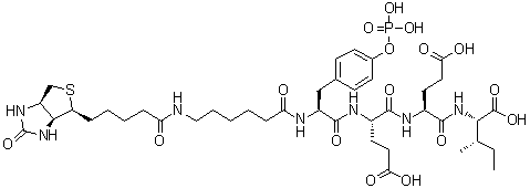 CAS 登录号：201422-05-1, N-[6-[[5-[(3aS,4S,6aR)-六氢-2-氧代-1H-噻吩并[3,4-d]咪唑-4-基]-1-氧代戊基]氨基]-1-氧代己基]-O-膦酰-L-酪氨酰-L-alpha-谷氨酰-L-alpha-谷氨酰-L-异亮氨酸