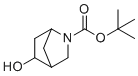 CAS # 207405-60-5, 5-hydroxy-2-Azabicyclo[2.2.1]heptane-2-carboxylic acid 1,1-dimethylethyl ester, Tert-butyl 5-hydroxy-2-azabicyclo[2.2.1]heptan-2-carboxylate