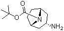 structure of CAS# 207405-68-3, N-Boc-endo-3-aminotropane