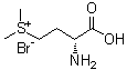 [(3R)-3-氨基-3-羧基丙基]二甲基溴化锍分子结构 (CAS 212757-14-7)