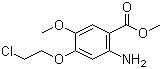 2-氨基-4-(2-氯乙氧基)-5-甲氧基苯甲酸甲酯分子结构 (CAS 214470-60-7)