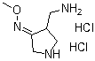 4-(氨基甲基)-3-吡咯烷酮 O-甲基肟盐酸盐分子结构 (CAS 215229-16-6)