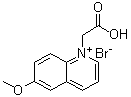 1-(羧甲基)-6-甲氧基喹啉鎓溴化物分子结构 (CAS 216672-37-6)
