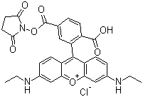 structure of CAS# 216699-36-4, 6-羧基-X-罗丹明琥珀酰亚胺酯