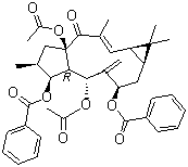 CAS 登录号：218916-51-9, 大戟因子 L2