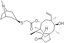structure of CAS# 224452-66-8, Retapamulin