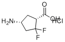 CAS # 2496497-75-5, (1R,4R)-4-Amino-2,2-difluorocyclopentane-1-carboxylic acid hydrochloride
