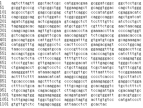 CAS # 265294-58-4, Caspase-9 beta (human MKN-74 cell isoenzyme beta)