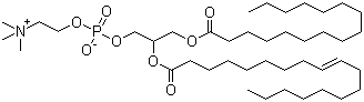 1-棕榈酰基-2-油酰基卵磷脂分子结构 (CAS 26853-31-6)