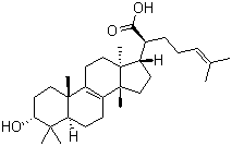3-羟基甘遂酸分子结构 (CAS 28282-27-1)