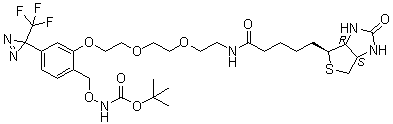CAS # 299931-19-4, [[2-[2-[2-[2-[[5-[(3aS,4S,6aR)-Hexahydro-2-oxo-1H-thieno[3,4-d]imidazol-4-yl]-1-oxopentyl]amino]ethoxy]ethoxy]ethoxy]-4-[3-(trifluoromethyl)-3H-diazirin-3-yl]phenyl]methoxy]carbamic acid 1,1-dimethylethyl ester