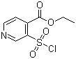 3-(氯磺酰基)异烟酸乙酯分子结构 (CAS 306936-12-9)